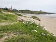 Do Not Swim notice issued for Balbriggan beach due to high levels of E.coli
