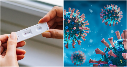 Could we see a new wave of Covid-19 this winter? This free expert-led event has all the answers