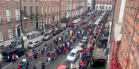 Thousands of Brazilians queue in Dublin to vote in presidential election