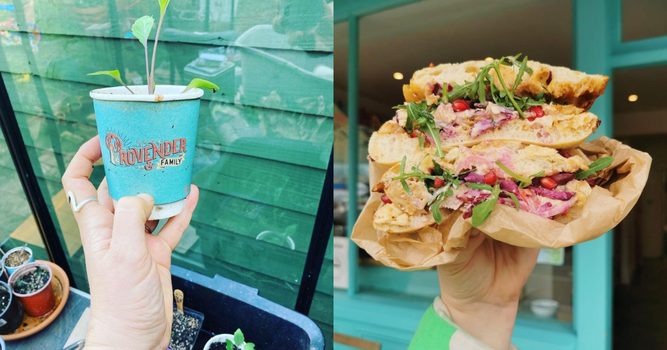 stoneybatter café price