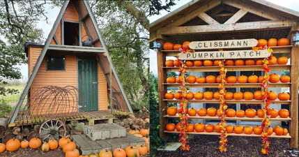 4 pumpkin patches near Dublin to visit this year
