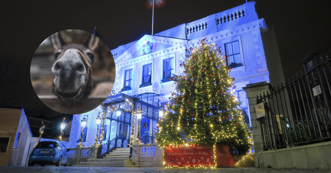 live crib cancellation