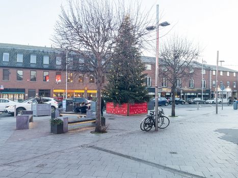 christmas tree in ranelagh village