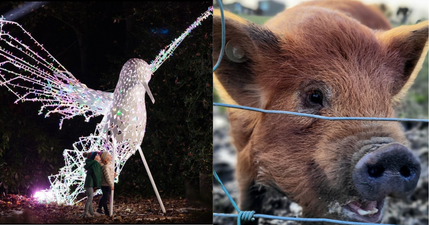 7 wholesome activities for those in-between days after Christmas