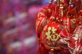 Everything you need to know about the Lunar New Year celebrations in Dublin