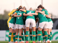 Ireland will take on France in Tallaght Stadium send-off before World Cup