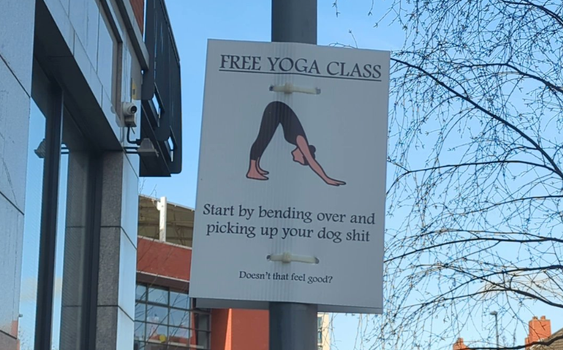 free yoga dublin