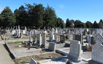 Plans for controversial cycle path through Deansgrange Cemetery formally dropped