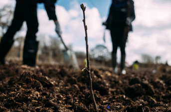 Work has gotten underway on Ireland’s first Tiny Forest in Dublin