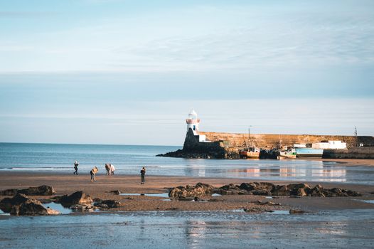 Planning refused for Balbriggan housing scheme