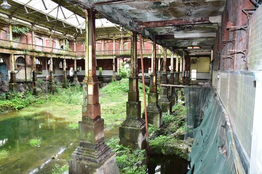 Iveagh Markets protest