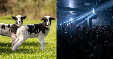 9 events to check out in Dublin over the Easter bank holiday weekend