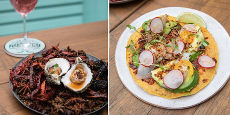 Love Mexican food? Don’t miss this unique dining and cocktail experience