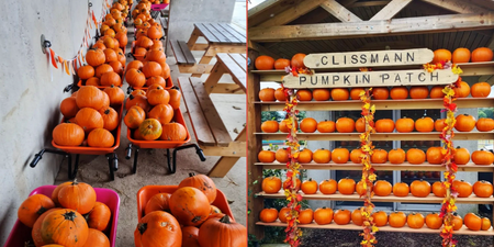 10 pumpkin patches near Dublin to check out over autumn