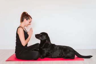 The London dog yoga trend has finally landed in Dublin