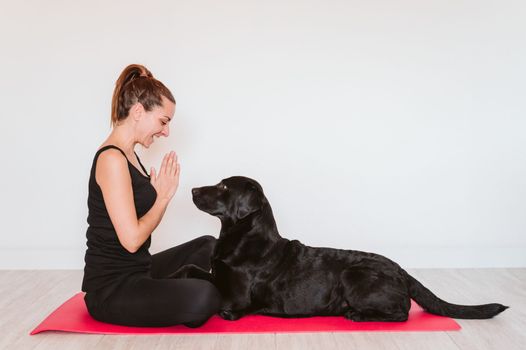 dublin dog yoga