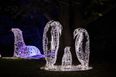 Wonderlights Malahide is back for Christmas 2023 with a magical new theme