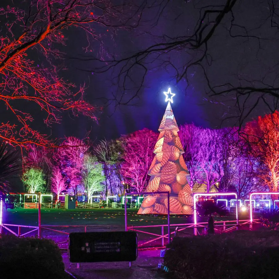 €2 Tickets now on sale for Dublin Winter Lights at Merrion Square Park