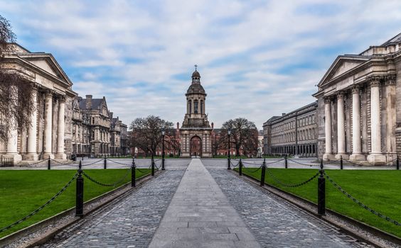 trinity college library renaming