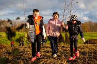 North Dublin suburb joins Barcelona and Milan in urban forest initiative