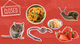 Worms in frozen dumplings, dead mouse in box of strawberries, and snail found in coleslaw amongst FSAI customer complaints in 2023
