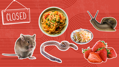 Worms in frozen dumplings, dead mouse in box of strawberries, and snail found in coleslaw amongst FSAI customer complaints in 2023
