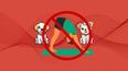 Animal welfare charities urge public not to attend new puppy yoga sessions