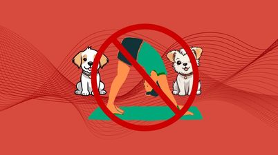 Animal welfare charities urge public not to attend new puppy yoga sessions