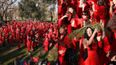 Kate Bush fans to recreate Wuthering Heights dance in Dublin this month