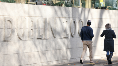 Dublin Zoo ‘vehemently disputes’ welfare allegations made in Dáil